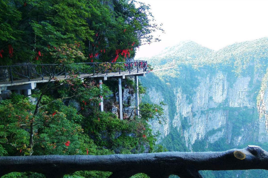 上海旅游公司建設(shè)網(wǎng)站需要多少錢